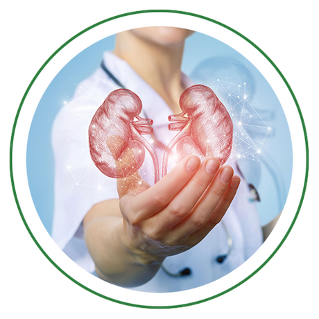 Kidney Care