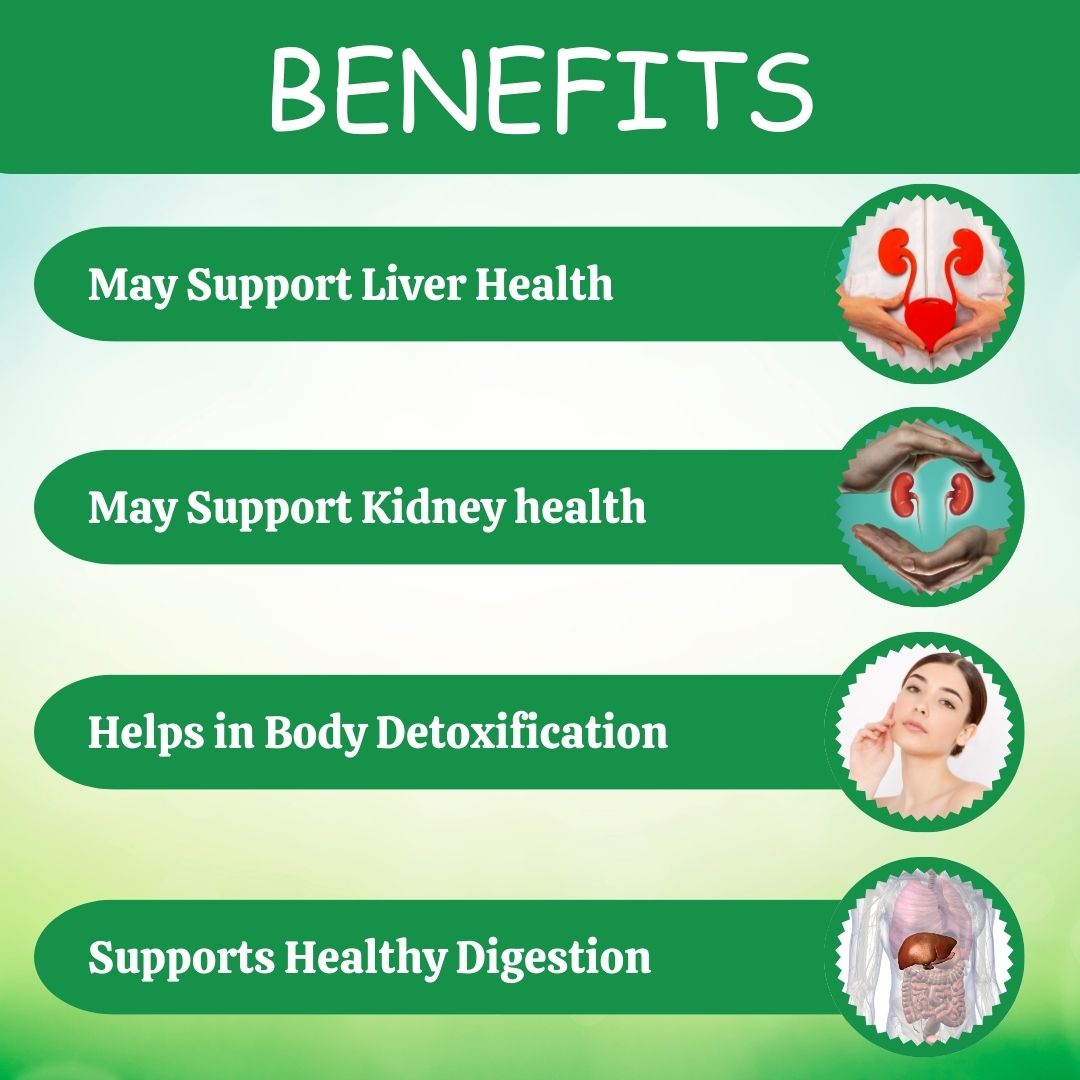 Punarnava Powder – Ayurvedic Herbal Supplement for Daily Wellness (100g)