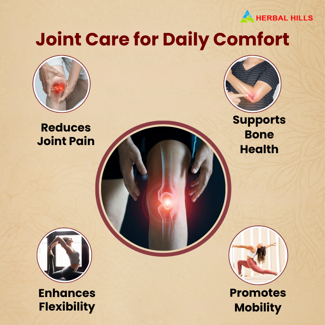 Arthrohills Capsules, Ayurvedic Joint care, Relieves Joint Pain & Muscle Pain, Natural Supplement for Overall Joint Health - 30 Capsules