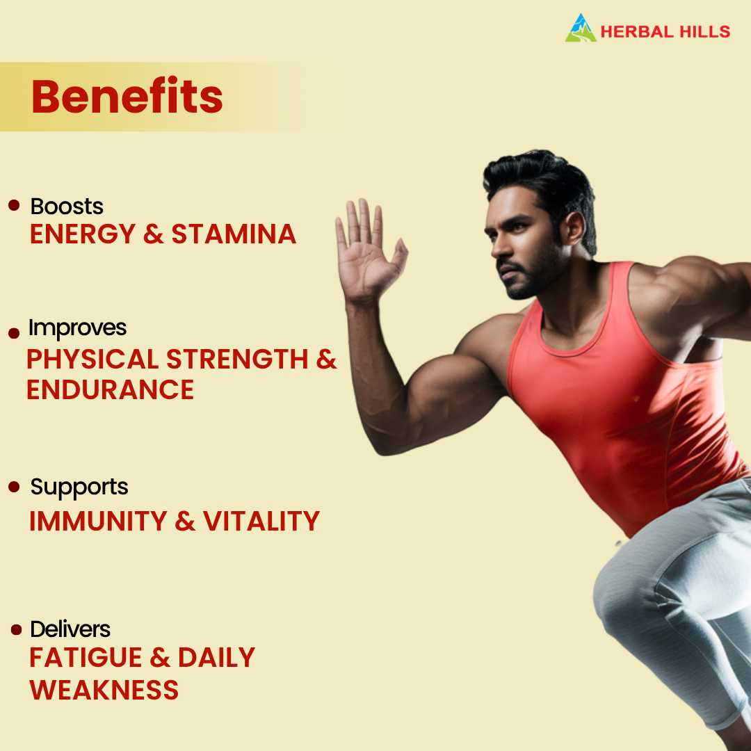 Shilajit Suspension Syrup: Plant-Based Wellness Supplement