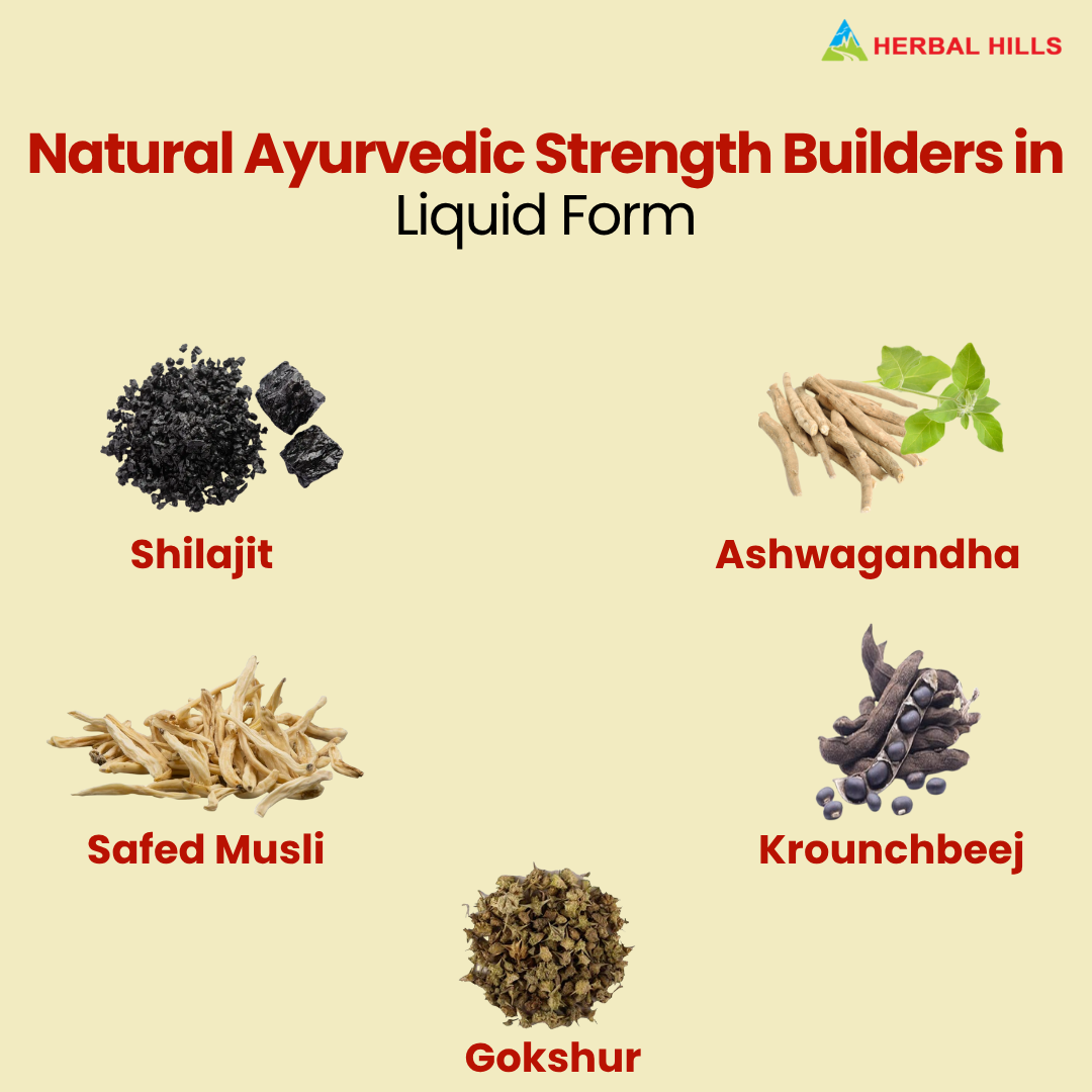 Shilajit Suspension Syrup: Plant-Based Wellness Supplement