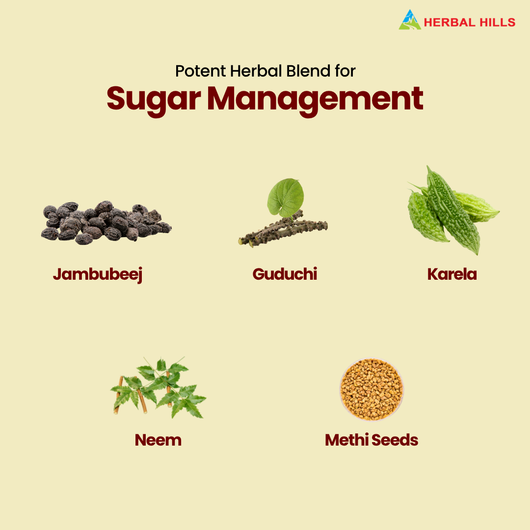 Dia Care Churna Helps in Sugar Management naturally and protects from diabetic complications