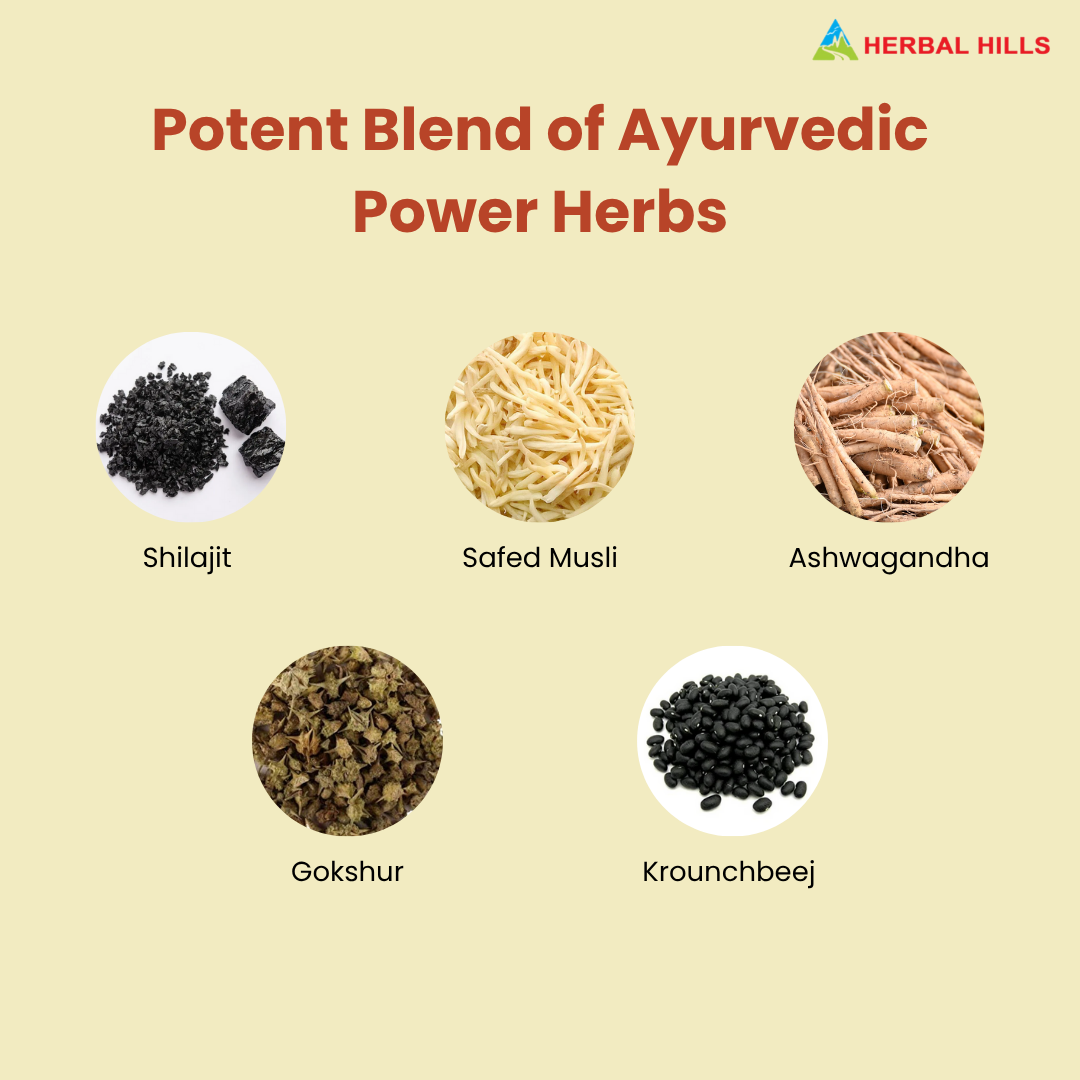 Shilajithills Forte Capsule, Enriched with Shilajit, Ashwagandha, Gokshur, Kraunchbeej. Boosts Vitality, Stamina, Strength and Overall Wellbeing