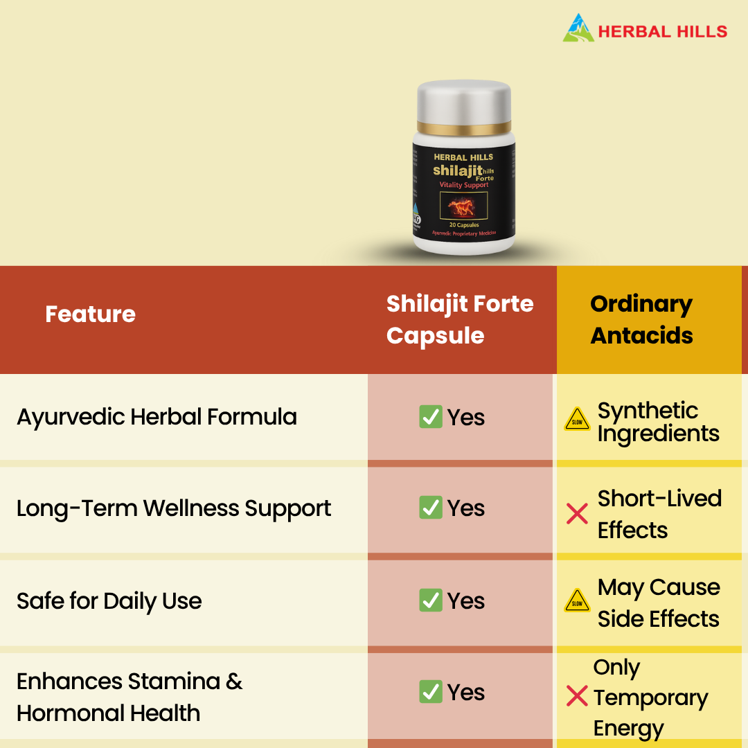 Shilajithills Forte for Daily Wellness -20 Count