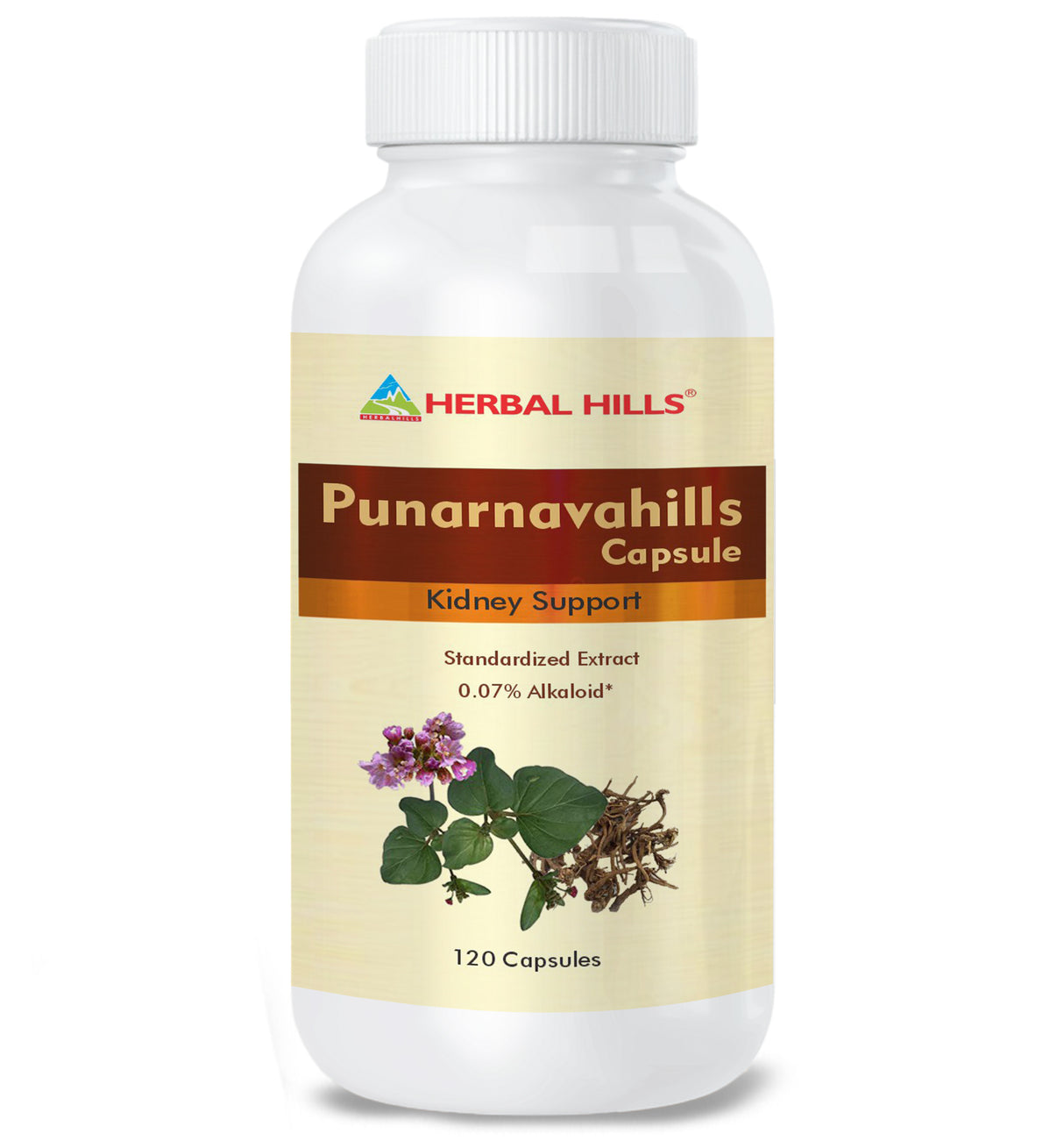 Punarnava Capsule Promotes Urinary Tract Wellness, Ayurvedic Diuretic, Kidney care & Rejuvenation