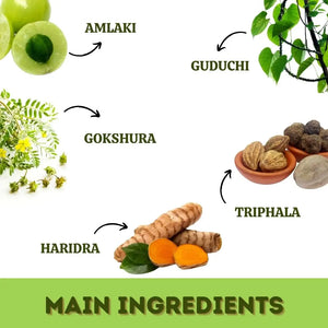 Buy Imunohills Immunity Support Capsules for Strong Defense