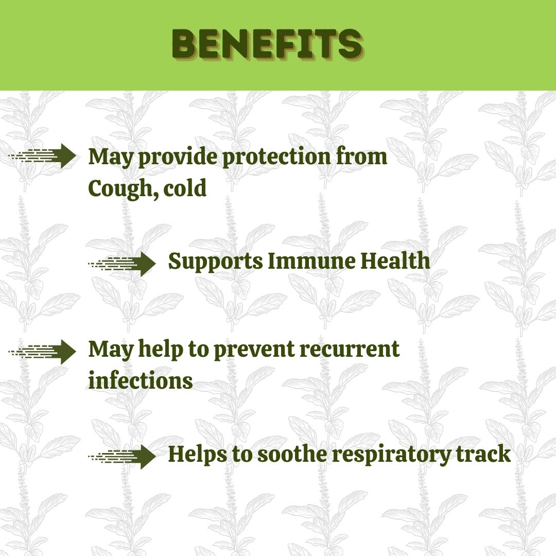 Panch Hills Tulsi Drops, Natural immunity booster drops, Relief from cough and cold, Tulsi drops for respiratory health, Antioxidant Tulsi drops