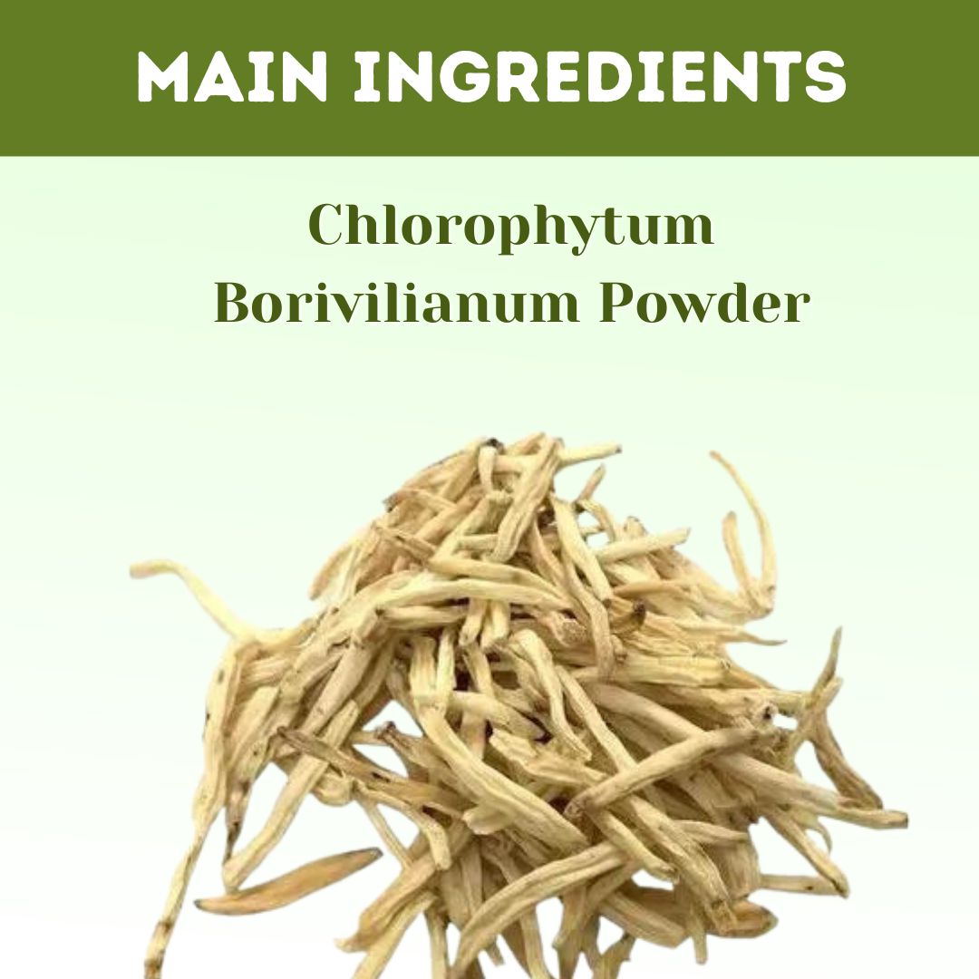 Buy Safed Musli Powder for Vitality and Energy - main ingredients