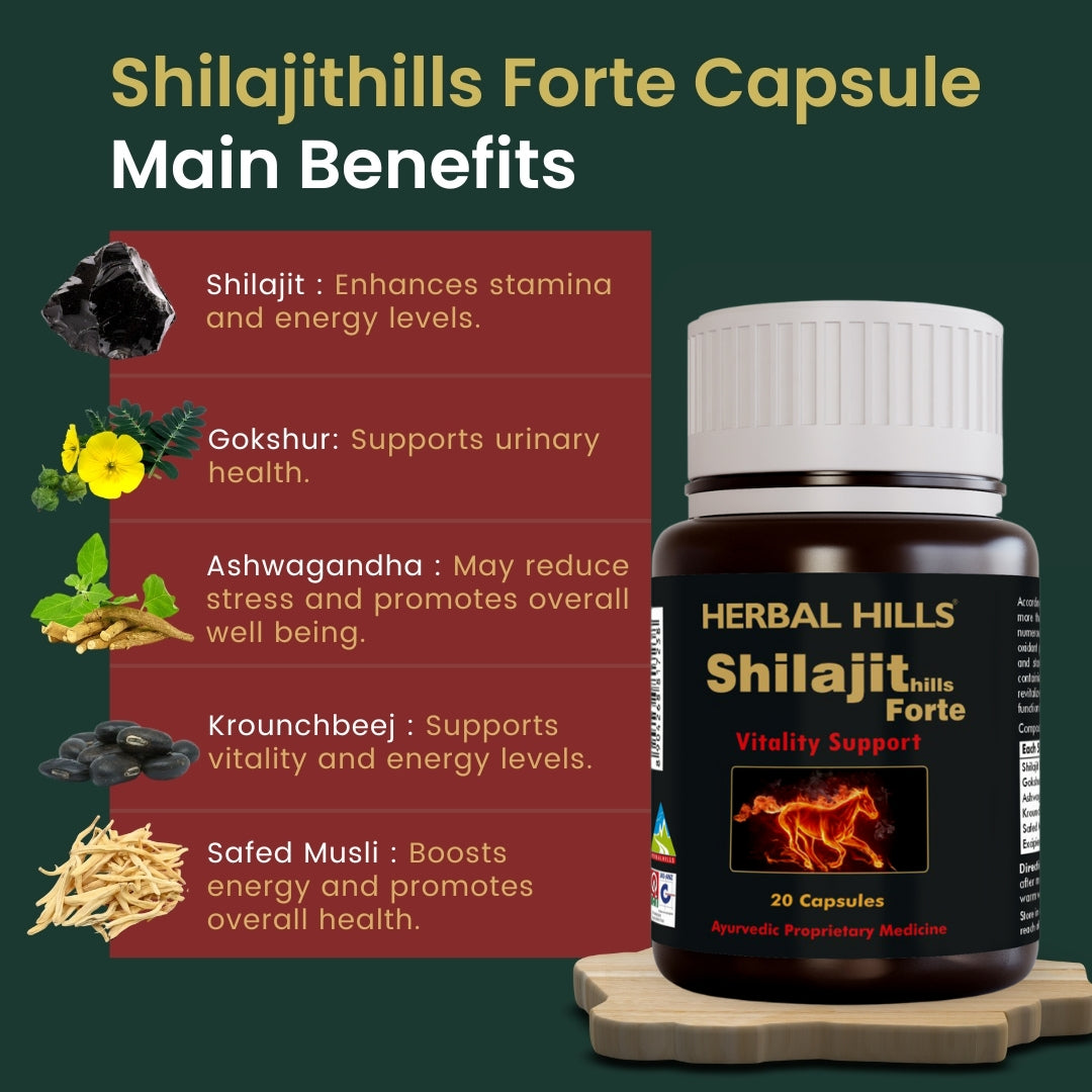 Men's Health Programme