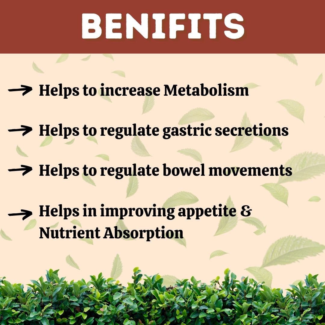 Pachakvatihills Tablet, Ayurvedic Digestive Care, Relieves Bloating and Gas, Natural indigestion relief, Herbal digestive remedy