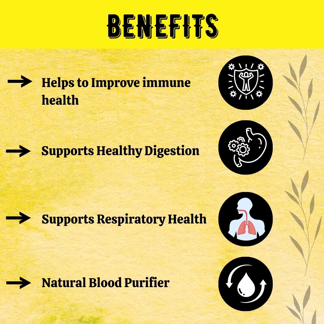 Giloy / Guduchi Tablet Immunity Booster Helps to Improve Overall Health