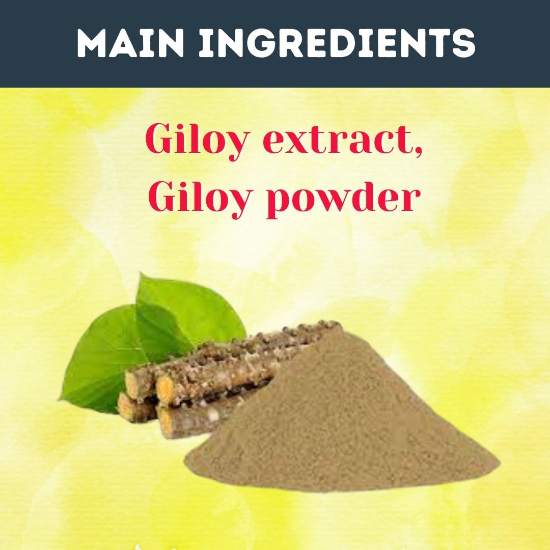 Giloy / Guduchi Tablet Immunity Booster Helps to Improve Overall Health