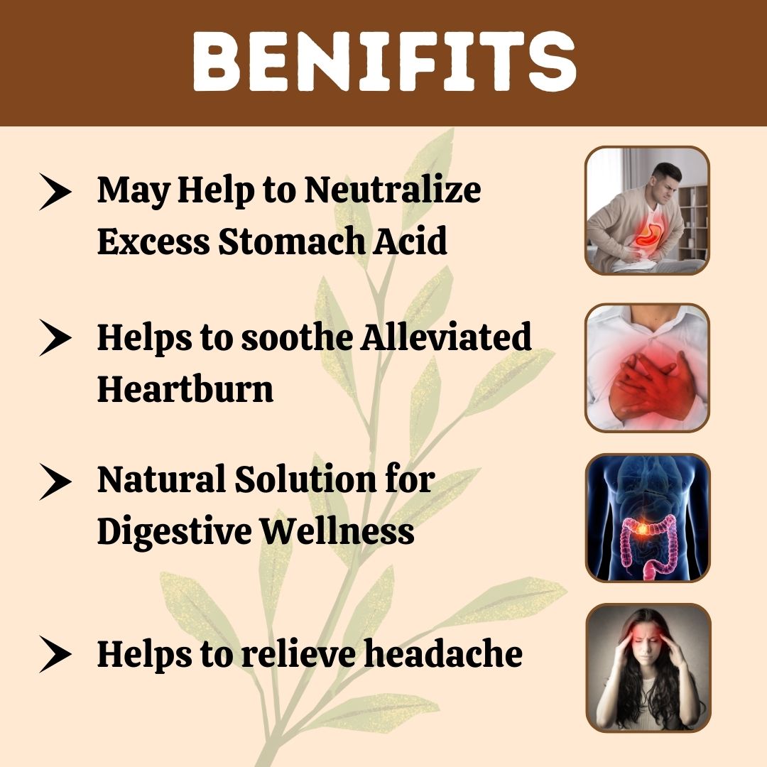 Kamdudhahills Tablet, Natural Relief from Acidity, Alleviates Heartburn and Indigestion, Supports Healthy Digestion, Ayurvedic Solution for Acid Reflux