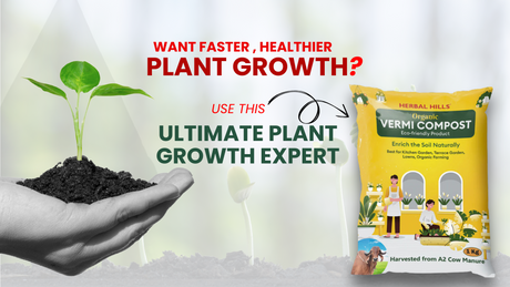 Feed Your Soil, Nourish Your Plants – 100% Organic Vermi Compost!