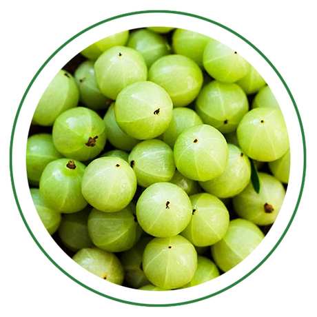 Amla