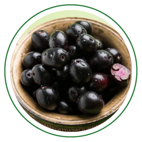 Jambu