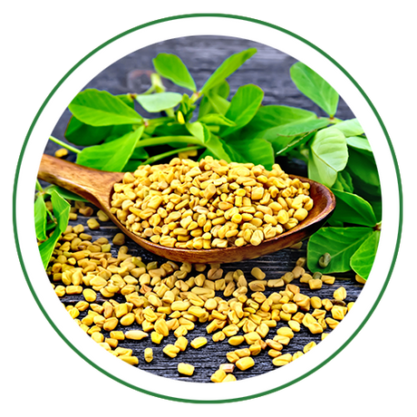 Methi