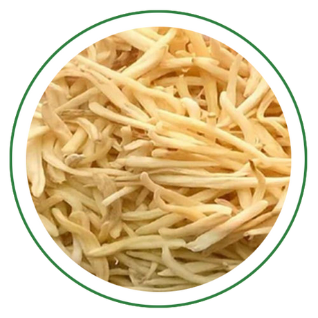 Safed Musli