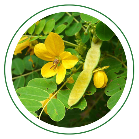Senna