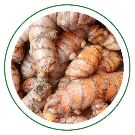 Turmeric
