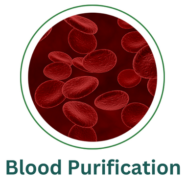 Blood purifier