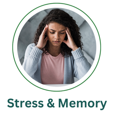 Stress & Memory