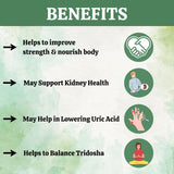 Gokshur Powder for Immunity and General wellness. Ayurvedic Kidney Care, Improves Strength and Stamina