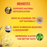 Detoxhills Syrup