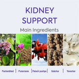 Buy Stonhills Syrup Kidney Support for Renal Well-being