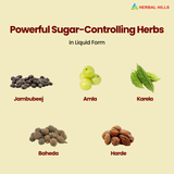 Diabohills Syrup, Clinically Proven Herbs to Manage Diabetes & Prediabetes Naturally, Jamun, Karela, Amla, Gurmar & 9 Herbs.