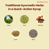 Digeshills Syrup, Ayurvedic Digestive Syrup, Sugar-Free, Improves Digestion & Appetite, Relieves Gas, & Bloating