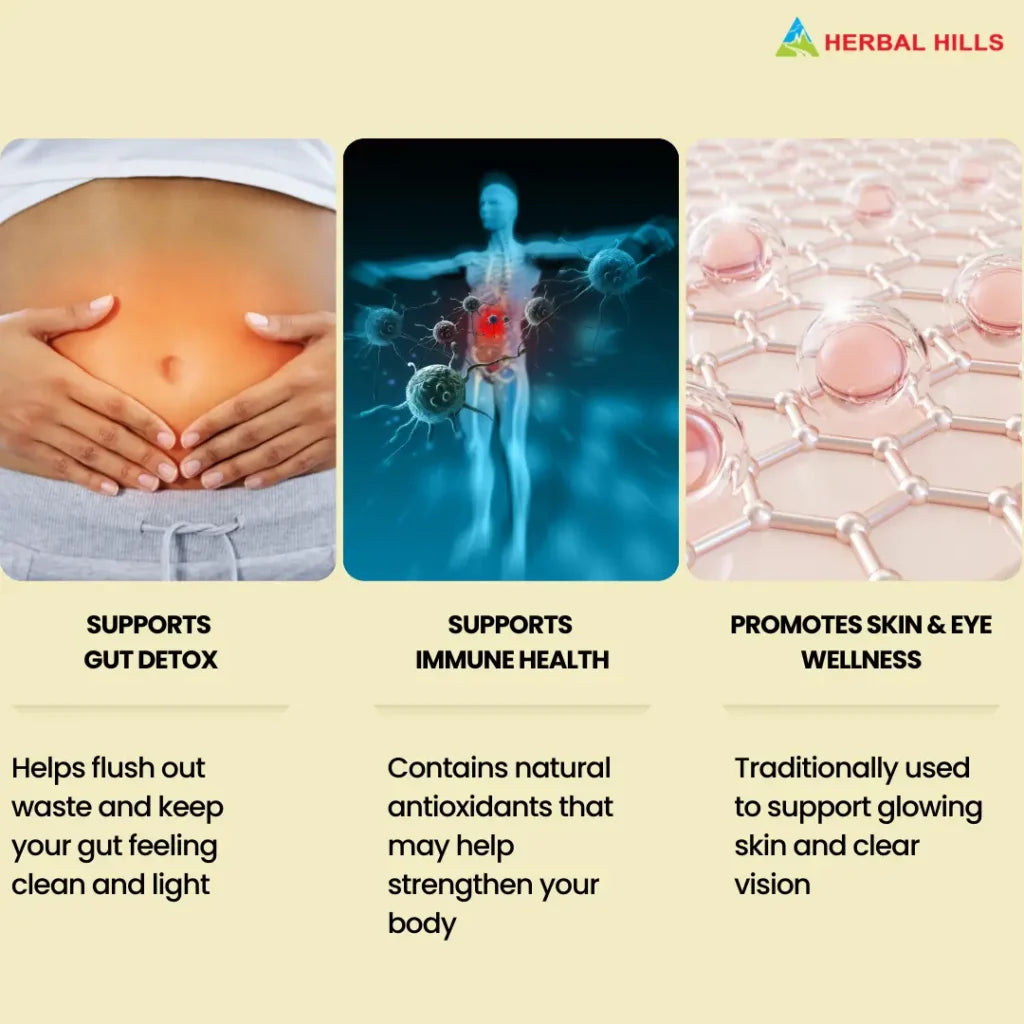 Triphala Tablets: Ayurvedic Supplement with Amla, Haritaki & Bibhitaki for Digestive support