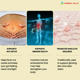 Triphala Tablets: Ayurvedic Supplement with Amla, Haritaki & Bibhitaki for Digestive support