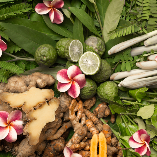 Ayurvedic Herbs