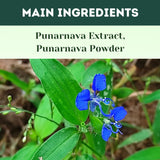 Buy Punarnava Capsule for Kidney Support - main Ingredient