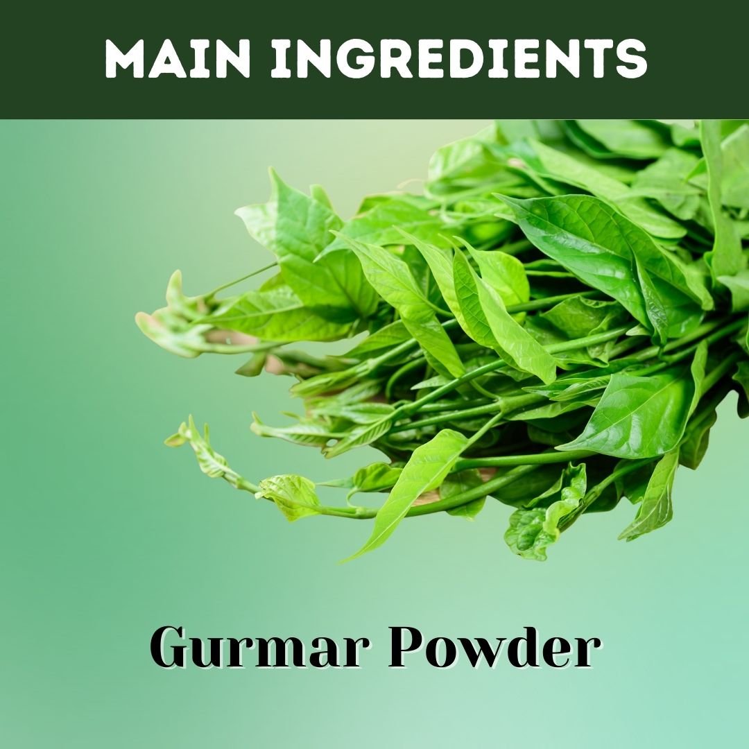 Buy Gurmar Madhunashini Gymnema Sylvestre Powder for Sugar Control