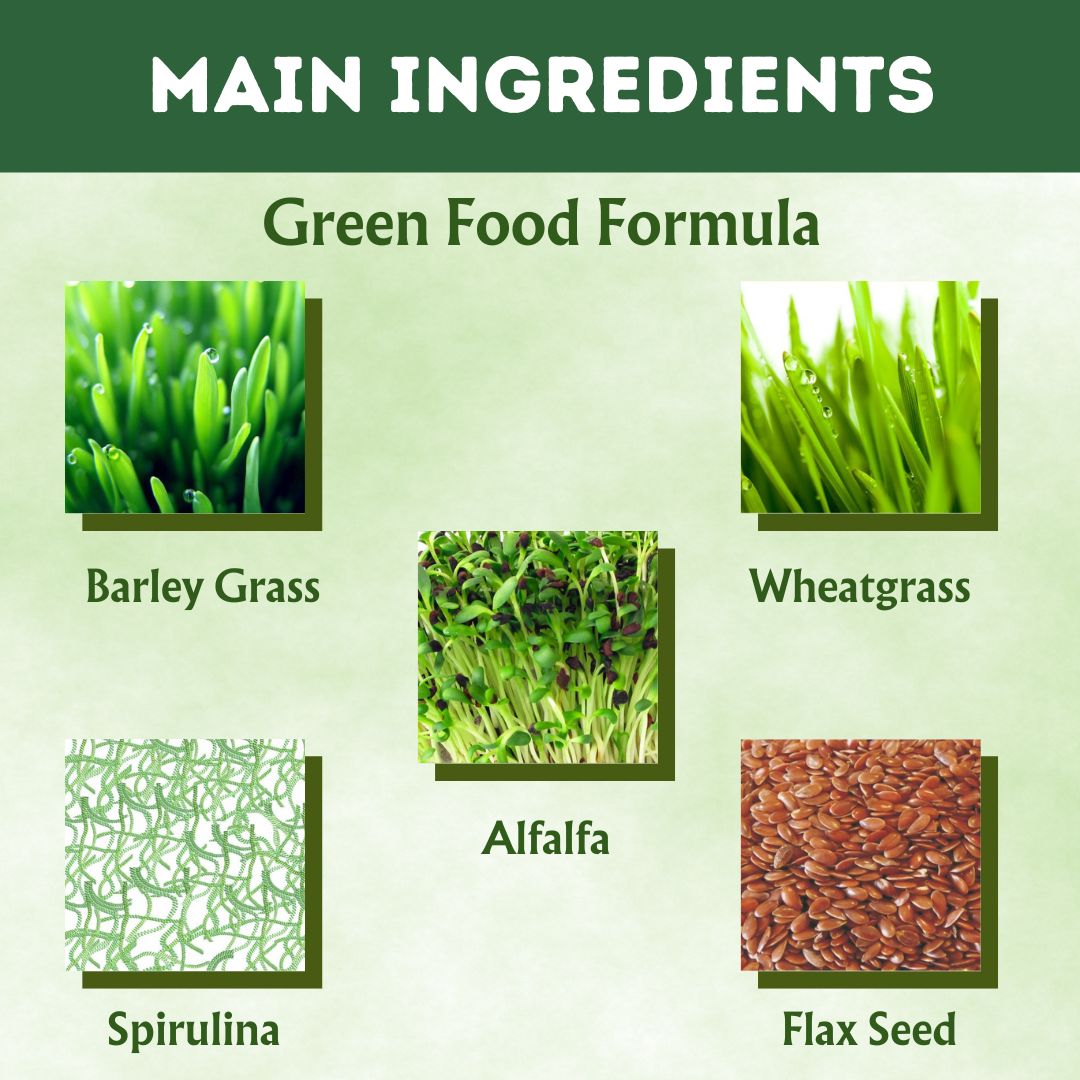 Buy Super Greenhills Tablets for Immunity Boost - main ingredient