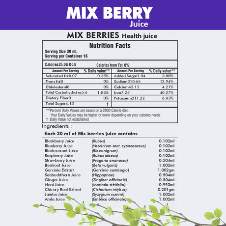 Buy Mix Berry Juice for Refreshing Flavor