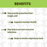 Panch Hills Tulsi Drops, Natural immunity booster drops, Relief from cough and cold, Tulsi drops for respiratory health, Antioxidant Tulsi drops