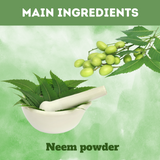 Buy Organic Neem Powder for a Pimple-Free Face