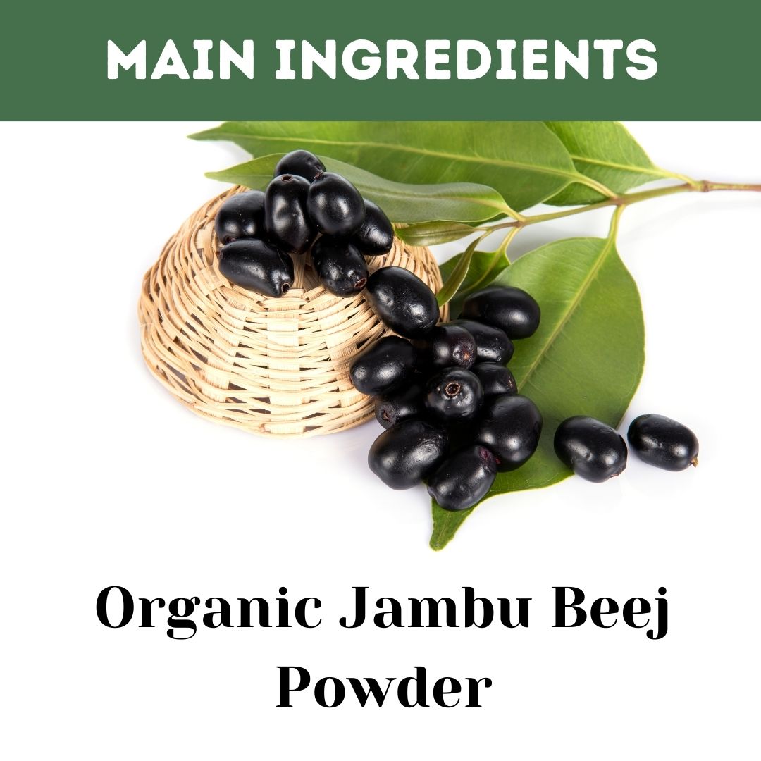Buy Organic Jambu Beej Powder for Blood Sugar Support