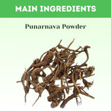 Buy Punarnava Powder For Natural Detoxification - main Ingredients