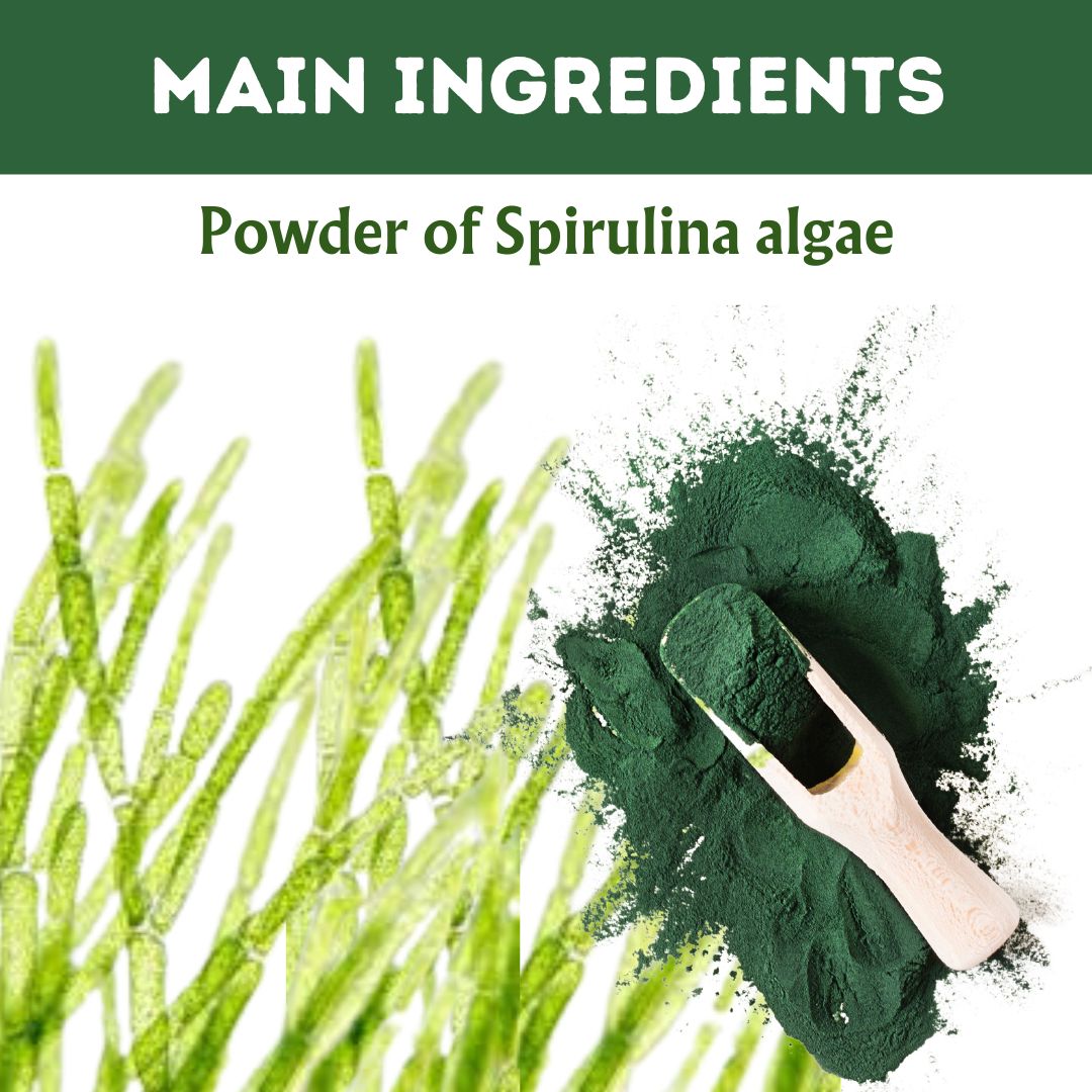 Buy Spirulina Tablet for Nutrient Boost - main ingredient
