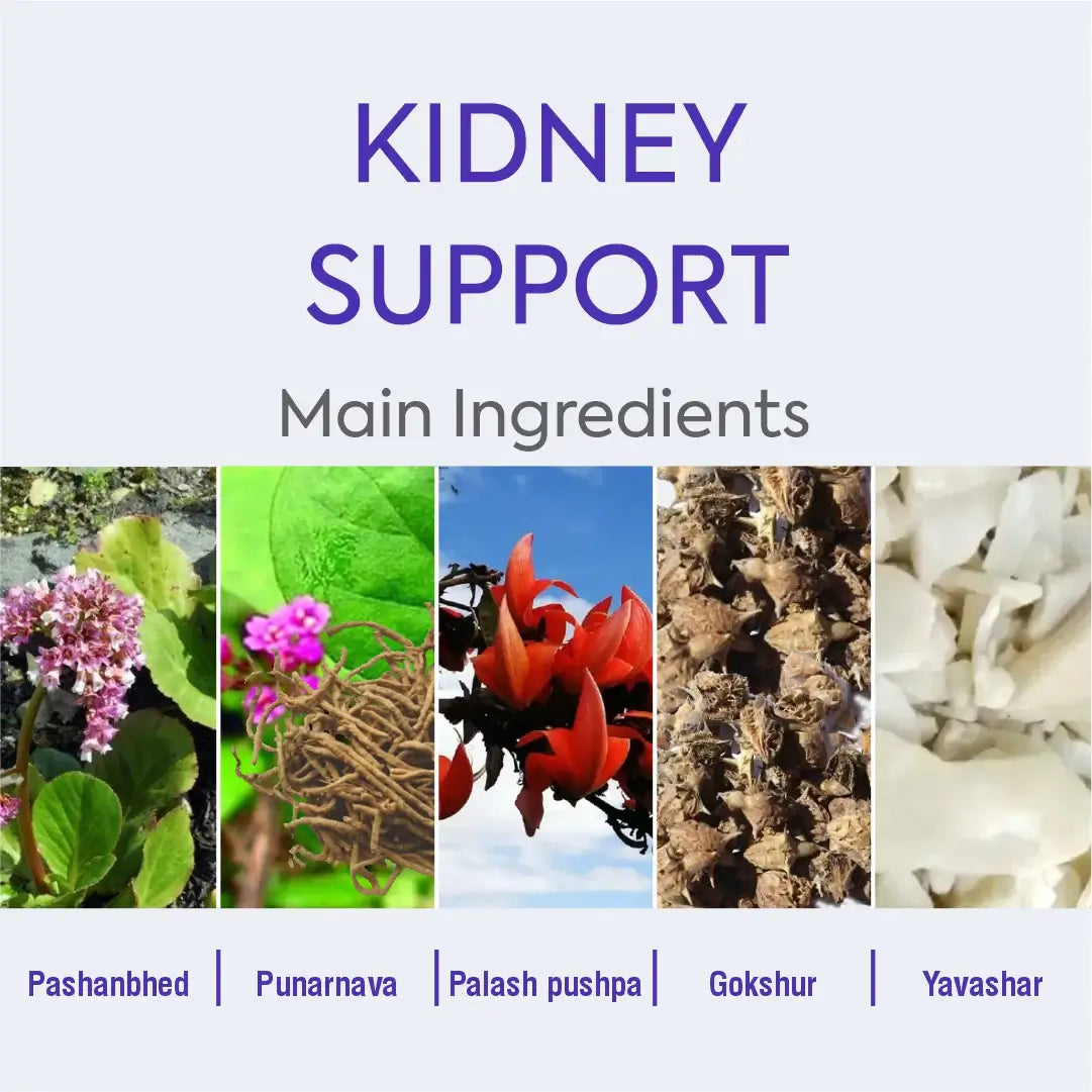 Buy Stonhills Kidney Support Tablets For Renal Wellness - main ingredient
