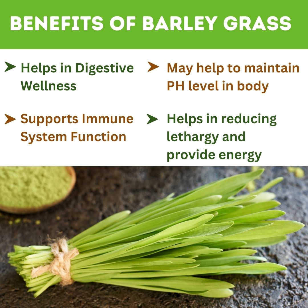 Barley Grass Tablet, Natural Body Cleanse and detox, Immunity Booster