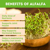 Alfalfa Tablet for Immunity and General wellness. Immunity booster & improves strength and stamina