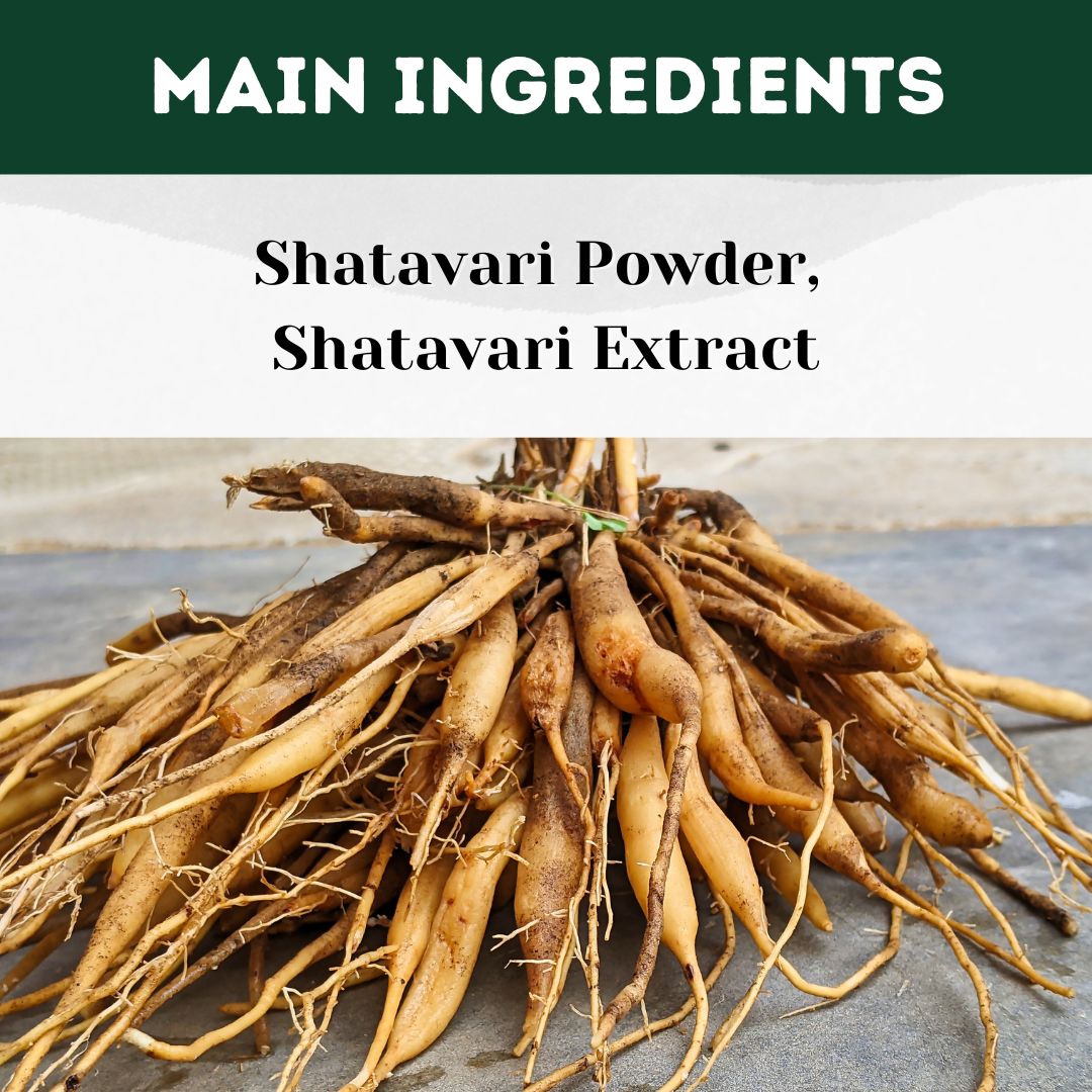 Buy Shatavari Tablet for New Mothers' Health - main ingredient