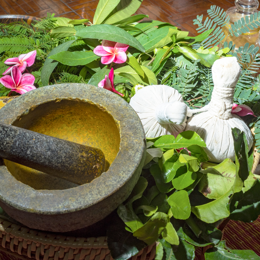 Ayurvedic Herbs