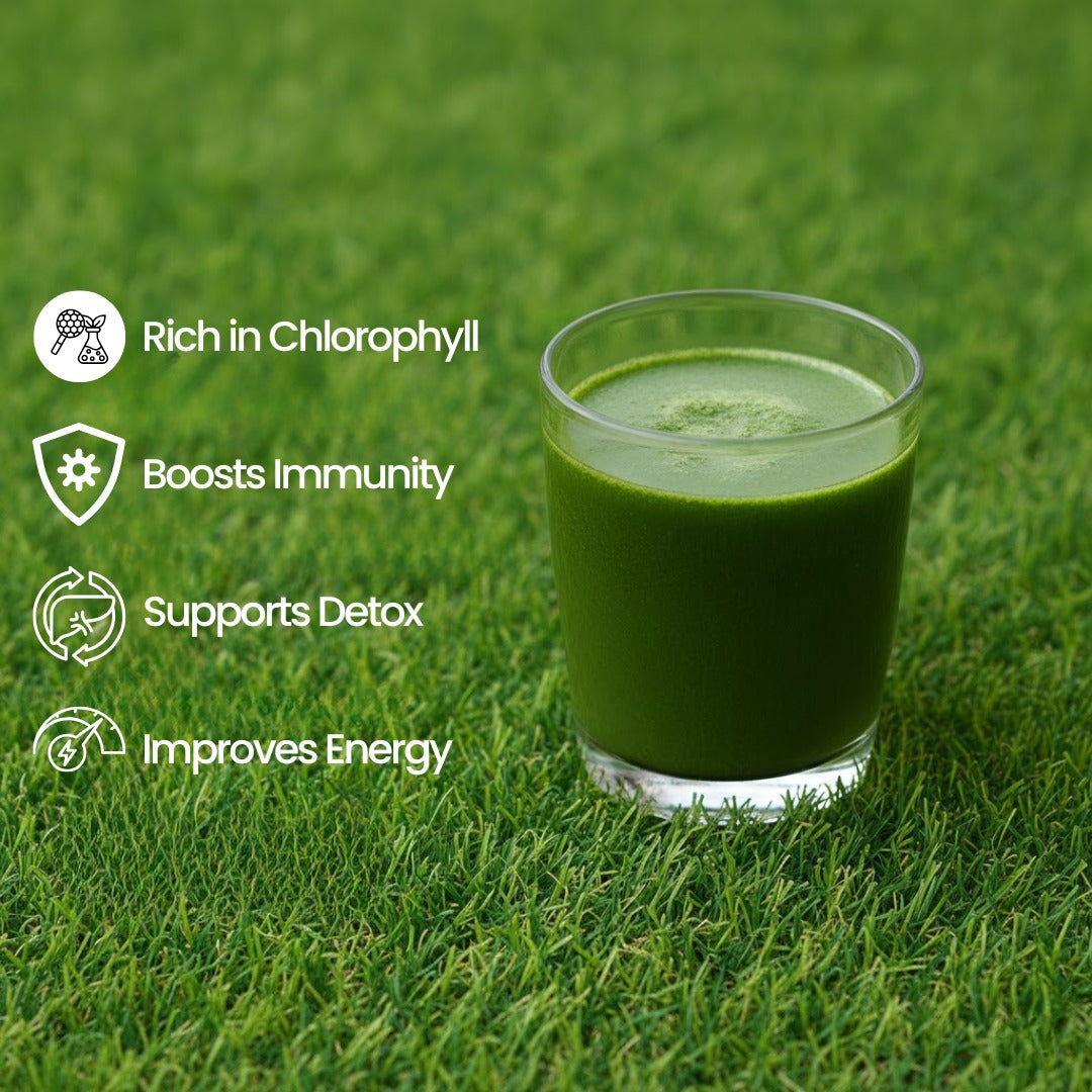 Organic Wheatgrass Powder: Ayurvedic Green Superfood for Daily Wellness